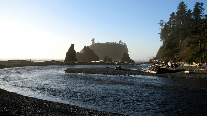 Sea stacks and shoreline at Ruby Beach
