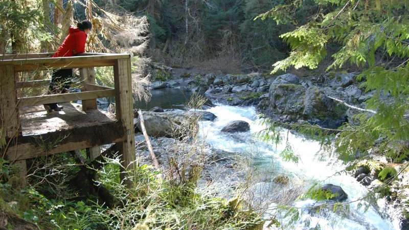 Waterfall overlook in the Sol Duc Valley